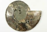 Cut & Polished, Agatized Ammonite Fossil - Madagascar #200138-3